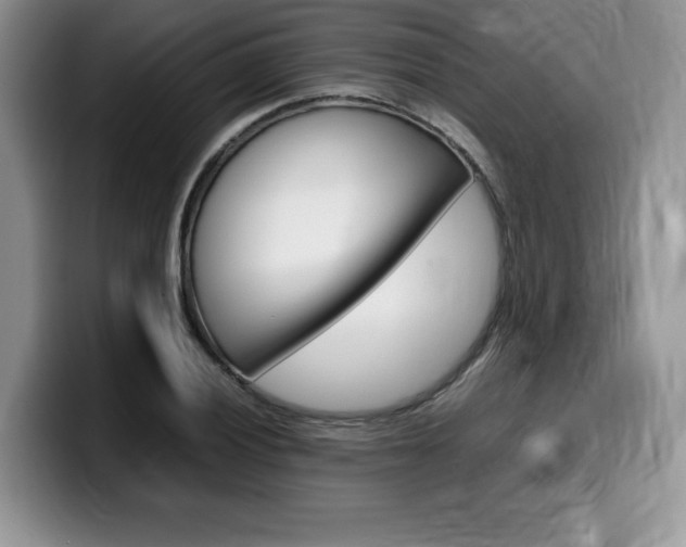 X0000100231028200805300721