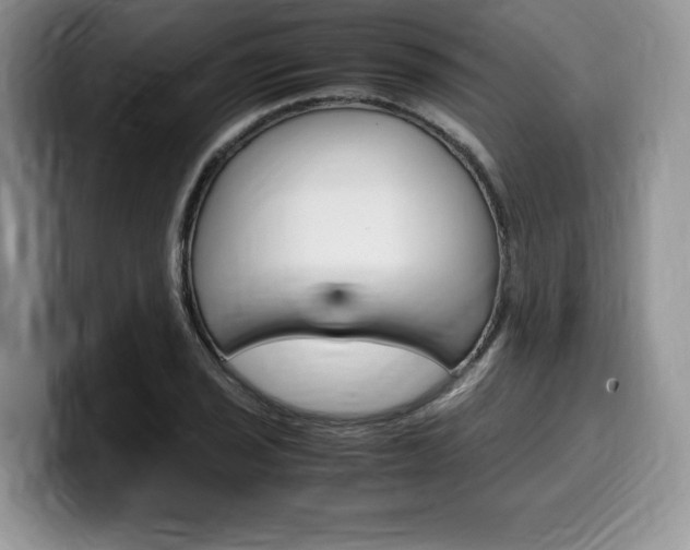 X0000100231029200805300721