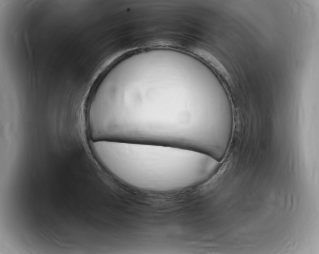 X0000100231031200805300721