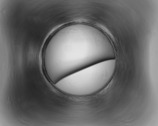 X0000100231032200805300721