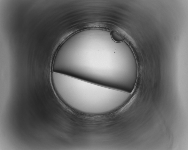 X0000100231033200805300721