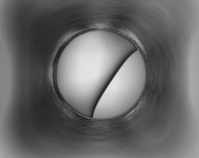 X0000100231035200805300721