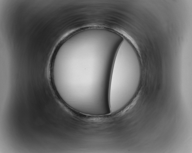 X0000100231037200805300721