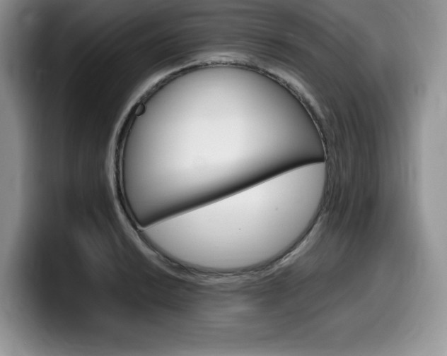 X0000100231038200805300721