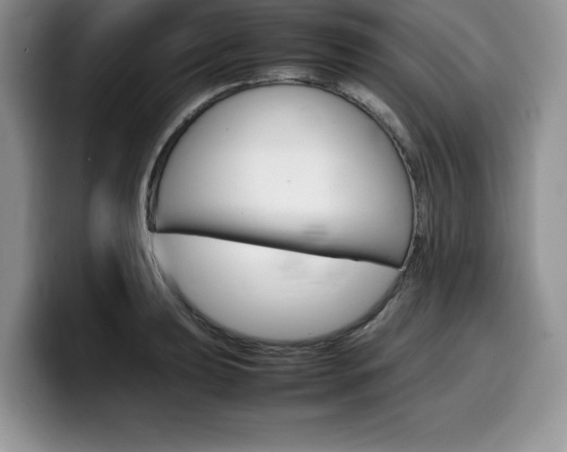 X0000100231039200805300721