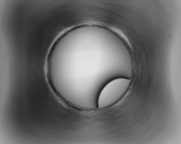 X0000100231040200805300721