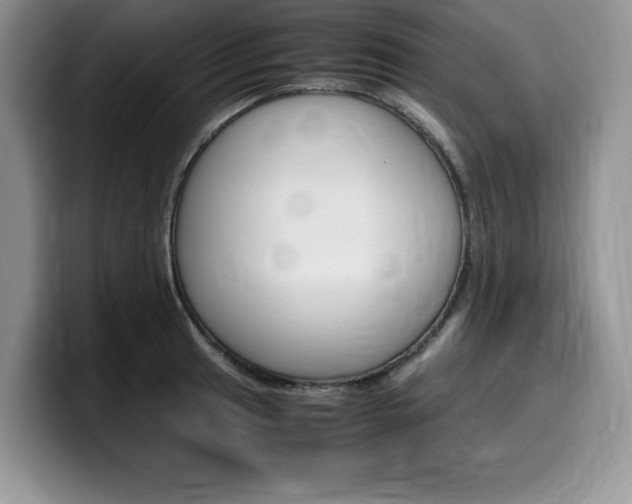 X0000100231041200805300721