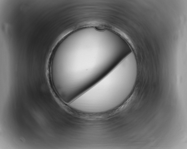 X0000100231042200805300721