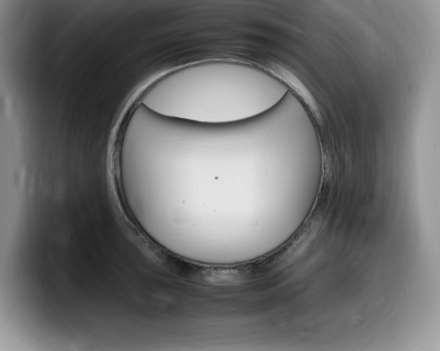 X0000100231043200805300721
