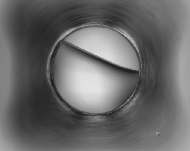 X0000100231045200805300721