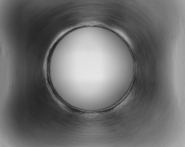 X0000100231046200805300721