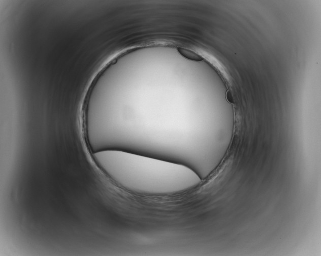X0000100231047200805300721