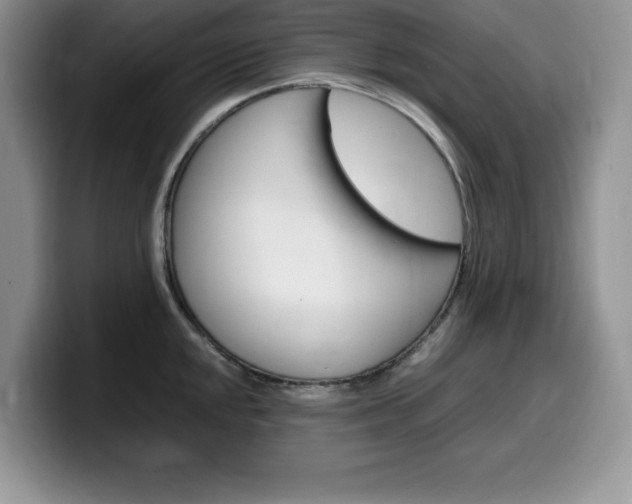 X0000100231048200805300721