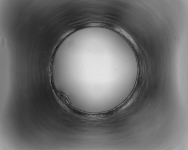 X0000100231049200805300721