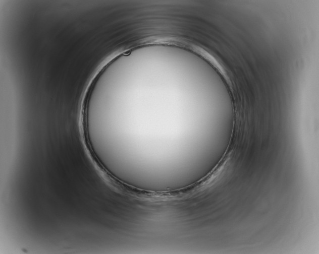 X0000100231050200805300721