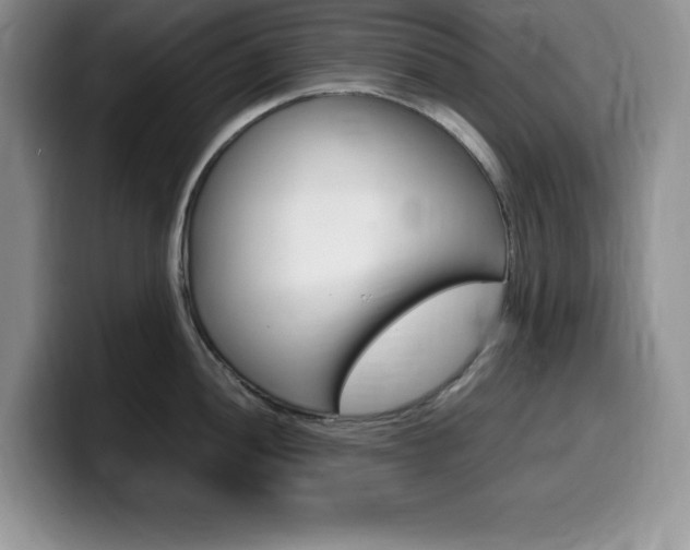 X0000100231052200805300721