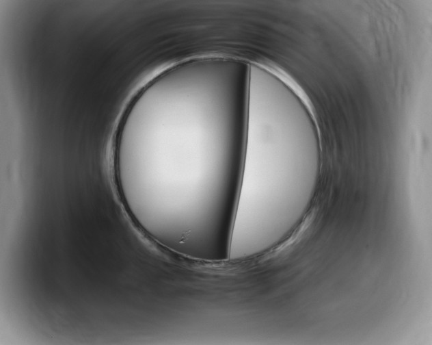 X0000100231053200805300721