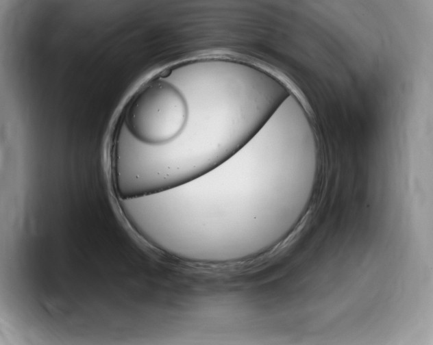 X0000100231054200805300721