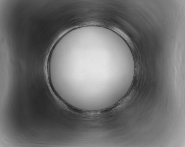 X0000100231055200805300721