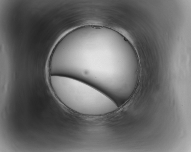 X0000100231056200805300721