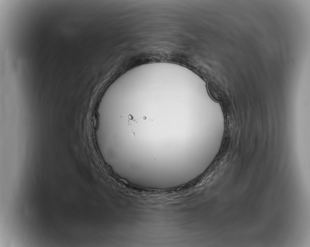 X0000100231057200805300721