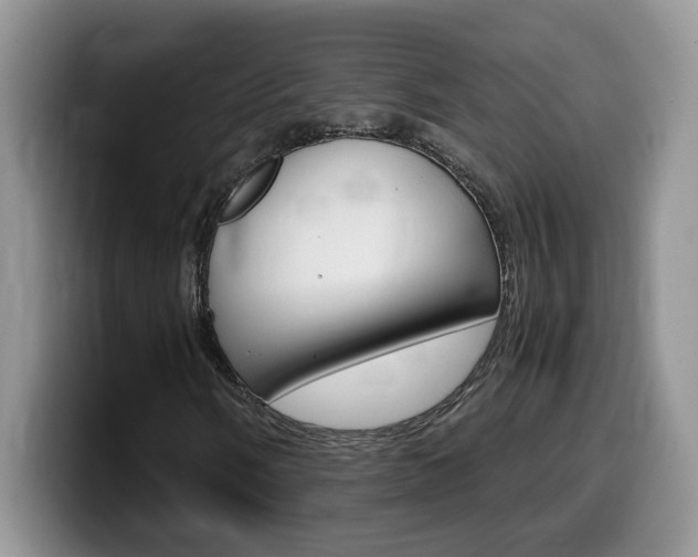 X0000100231058200805300721