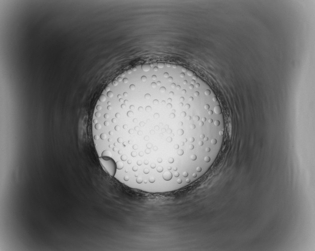 X0000100231059200805300721