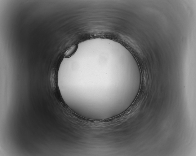 X0000100231060200805300721