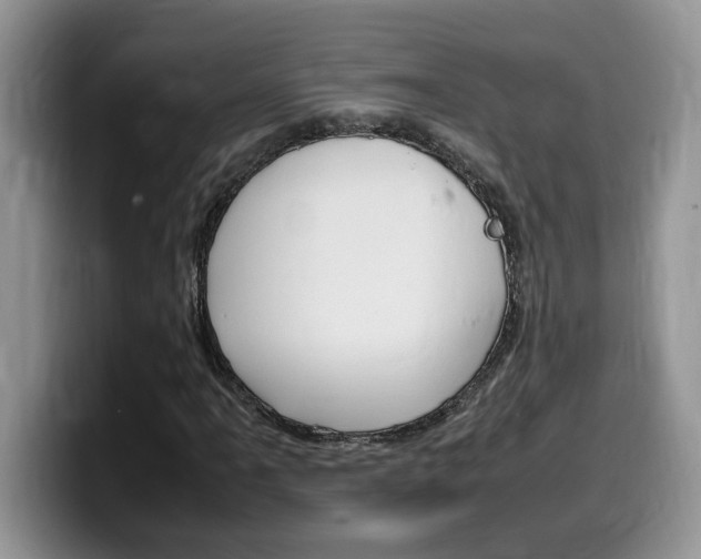 X0000100231061200805300721