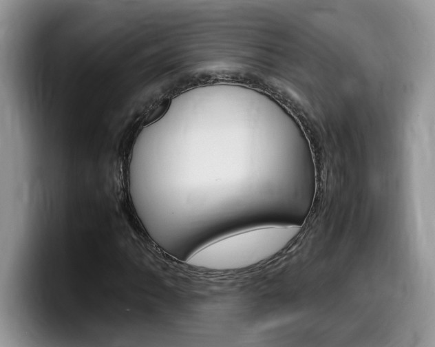 X0000100231062200805300721