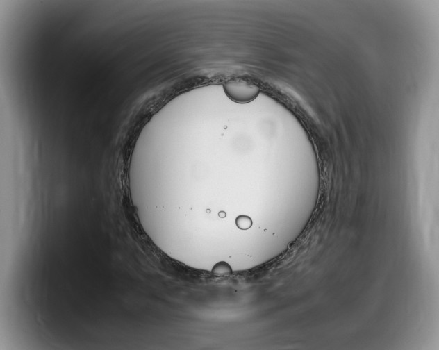 X0000100231063200805300721