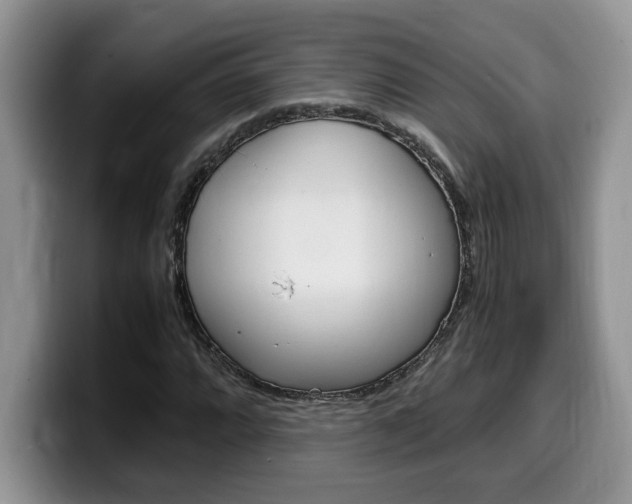 X0000100231064200805300721