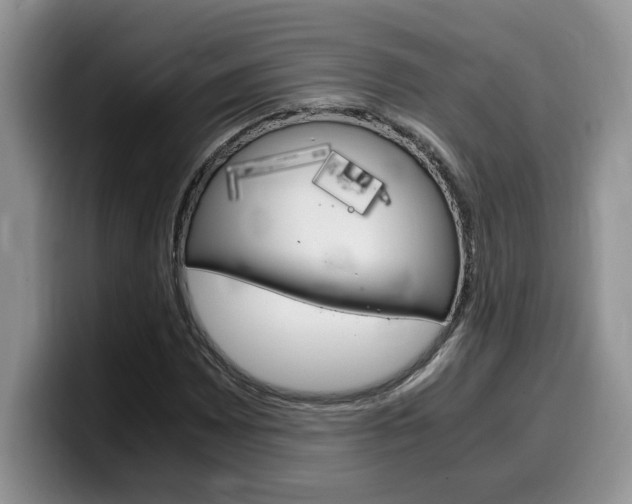 X0000100231065200805300721