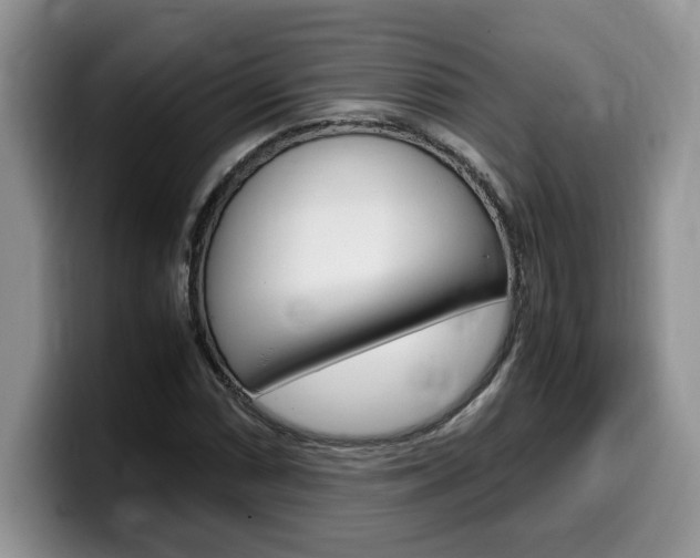 X0000100231066200805300721