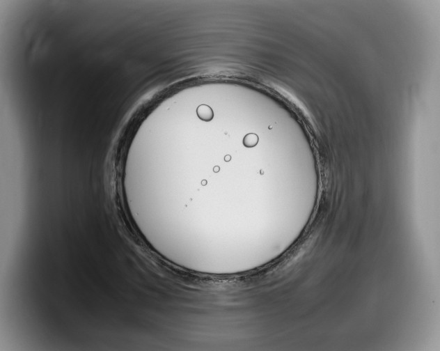 X0000100231067200805300721