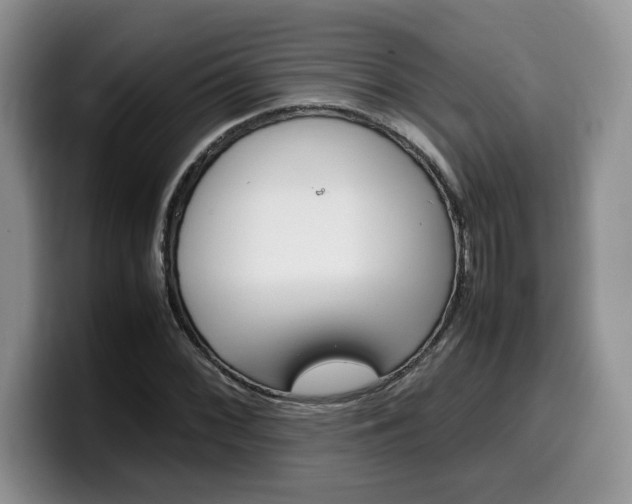 X0000100231068200805300721