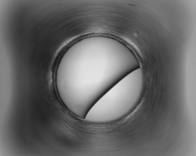 X0000100231070200805300720