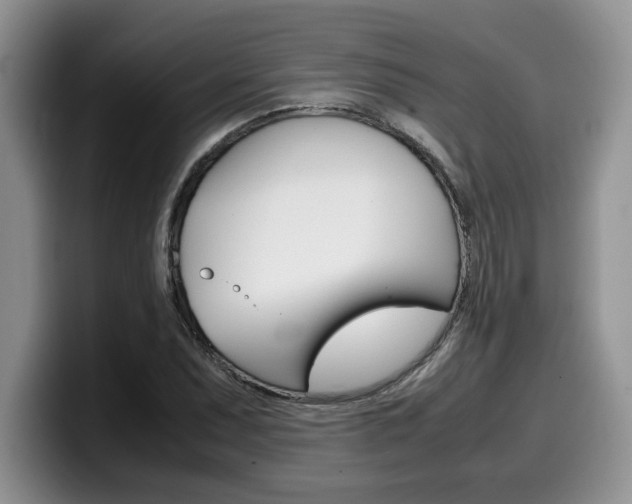X0000100231071200805300720