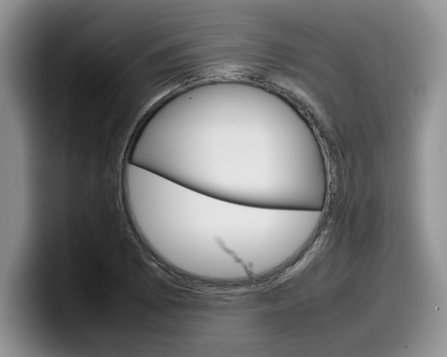 X0000100231073200805300720