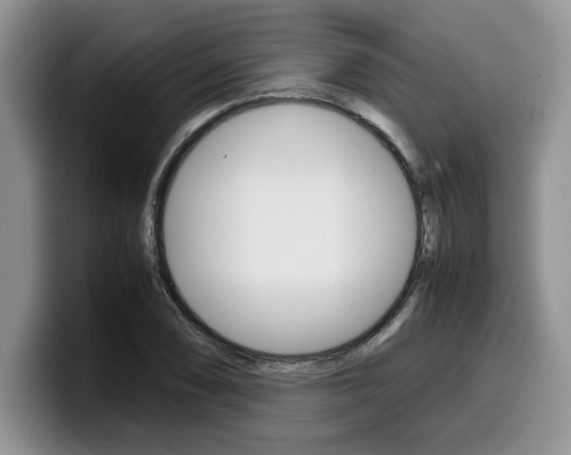 X0000100231074200805300720