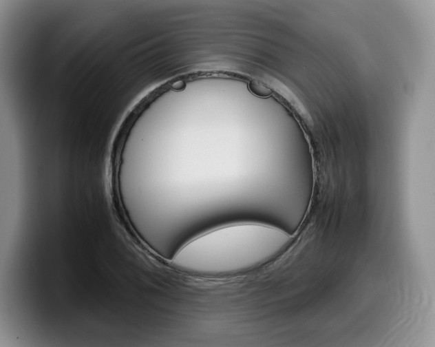 X0000100231076200805300720