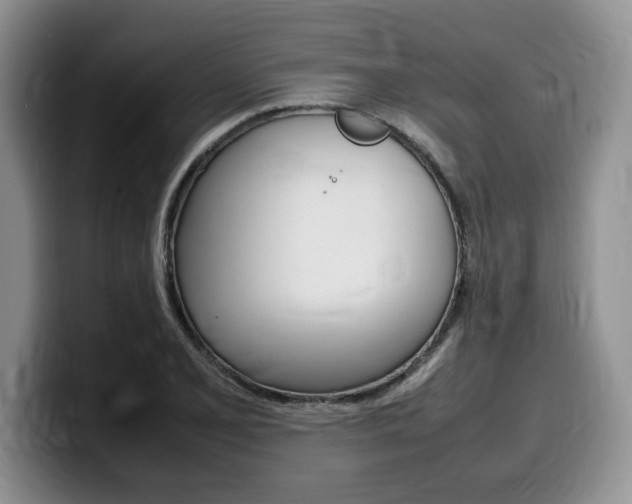 X0000100231077200805300720