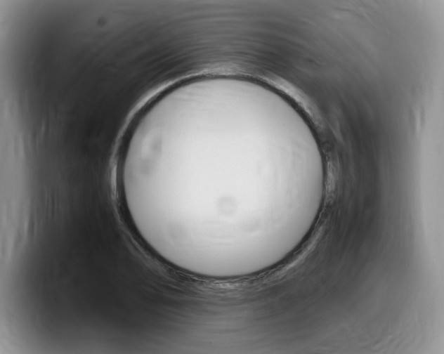 X0000100231078200805300720