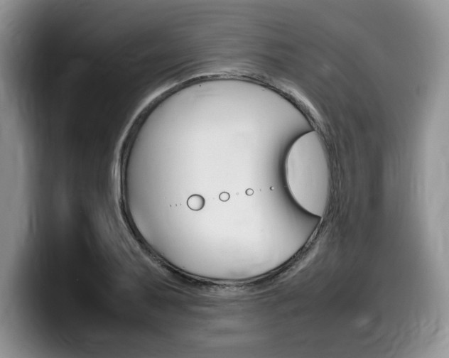 X0000100231079200805300720