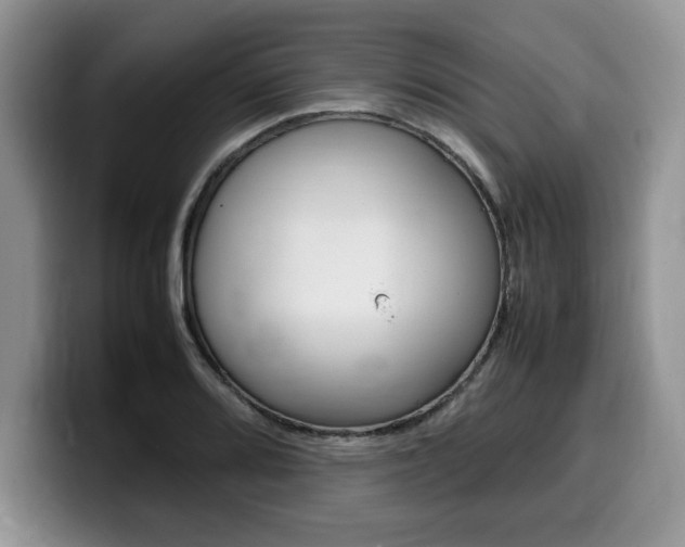 X0000100231080200805300720