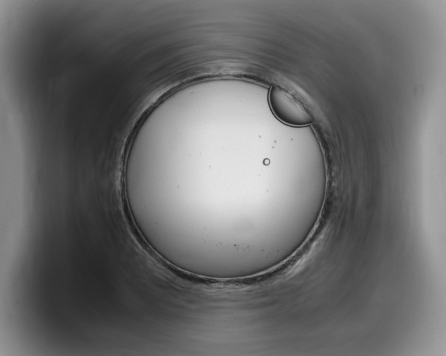 X0000100231081200805300720