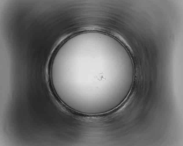 X0000100231082200805300720