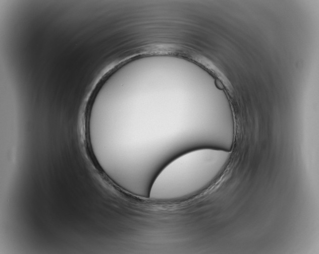 X0000100231083200805300720