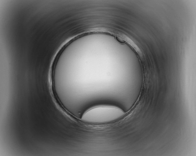 X0000100231084200805300720