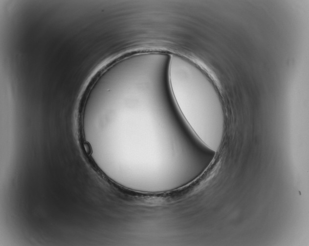 X0000100231085200805300720